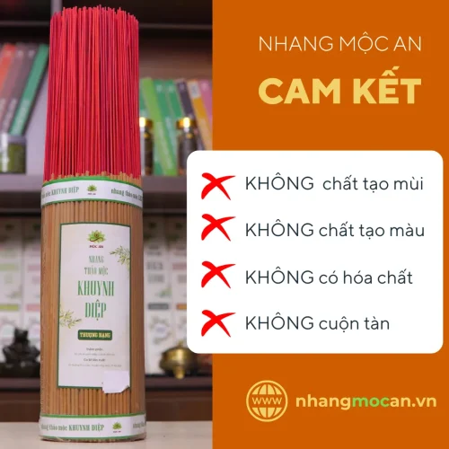 Nhang-sach-thao-moc-khuynh-diep-cam-ket